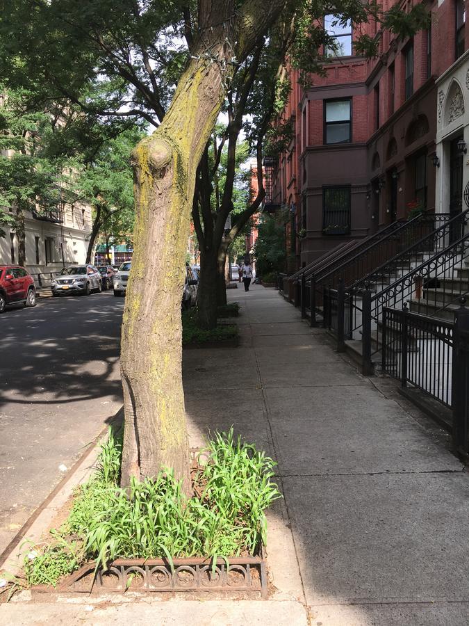 Nyc Townhouse Apartment New York Exterior foto